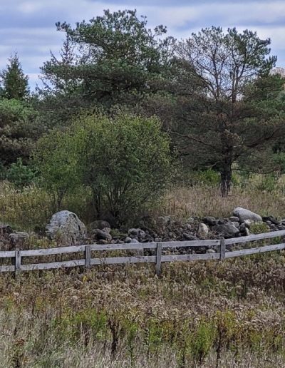 farm boundary wall made of old stones