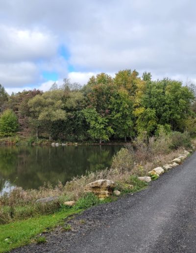 farm laneway beside a pond